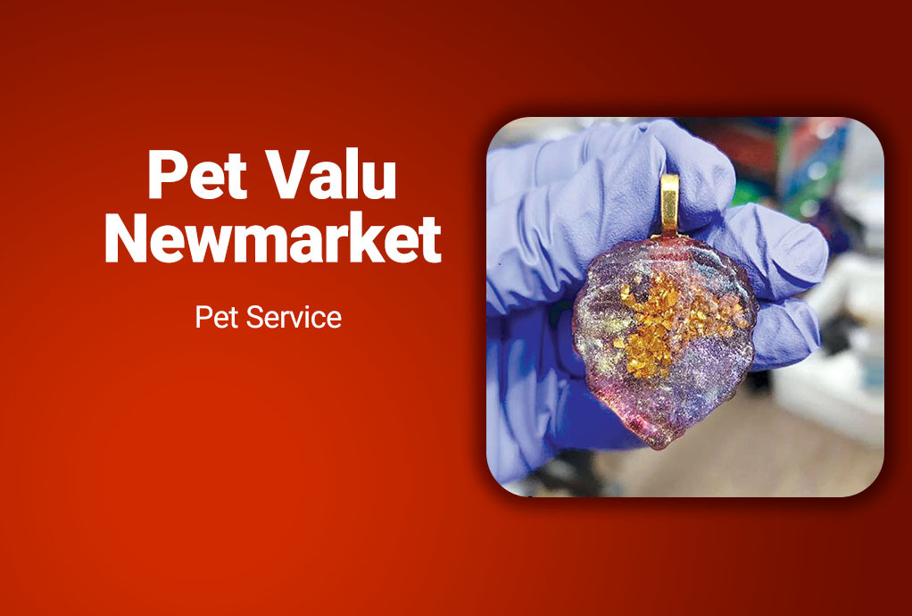 Pet Valu Newmarket