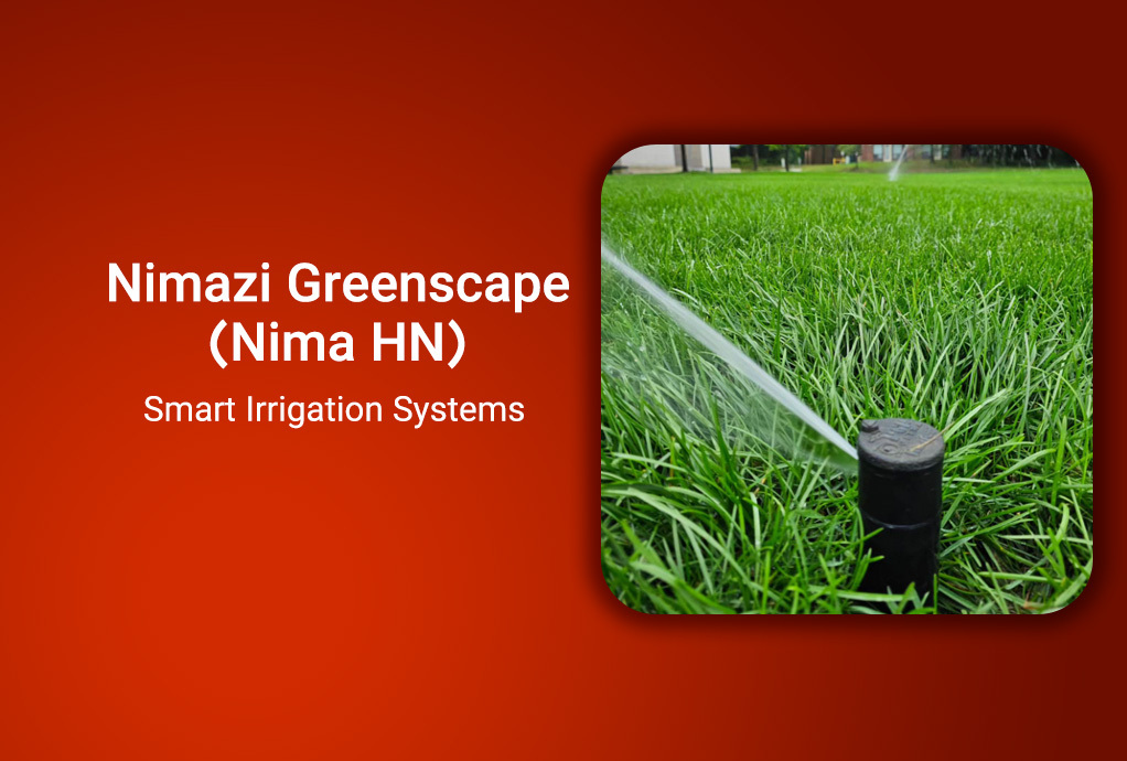 Nimazi Green Lawn Sprinkler & Lighting Services